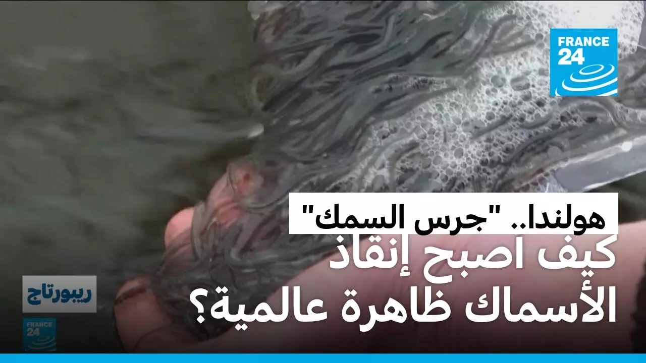 ������.. ��� ������� ���� ����� ������� ���� ������� ��������
 - نشر قبل 8 دقيقة