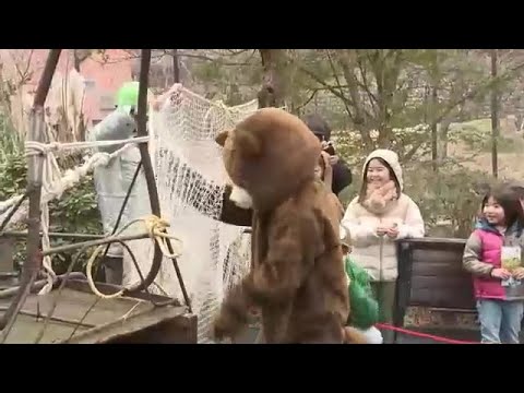 【マモル・ソナエル】万が一を楽しく学ぶ 「動物園でクマが脱走！」想定して訓練