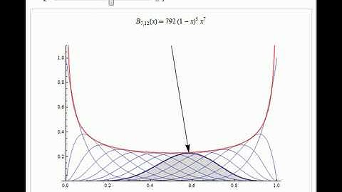 Bernstein Polynomials