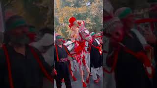 #yaali #100k #hyhussain #vlog #vlog #sorts #iran #india #1millionviews #1000subscriber