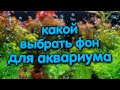 Задний фон для аквариума. Какой выбрать.