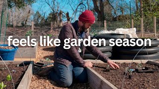 Garden with Me | It is officially spring
Spring is here, and its time to get my hands in the soil. In this video, I’m planting out my cold-hardy crops like onions and getting the garden season started. Ill walk you through the steps I’m taking to get everything set up, from prepping the soil to setting up the garden for a successful growing season. Ill also talk about how I approach these early spring plantings and share a few tips for making the most of your cold crop gardening. Let’s get ready for a productive season ahead.
#SpringGardening #ColdCropGardening #OnionPlanting
#GardenSeason #VegetableGardening Garden with Me | It is officially spring