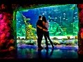 A Surprise Wedding Proposal at Sea Life in Auburn Hills, Mi