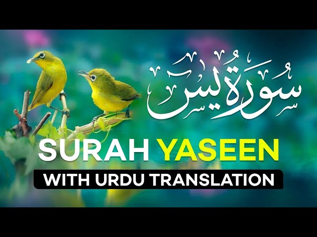 Surah Yasin | Surat Yaseen with Urdu Translation | Quran Tilawat Beautiful Voice | Hindi Tarjuma class=