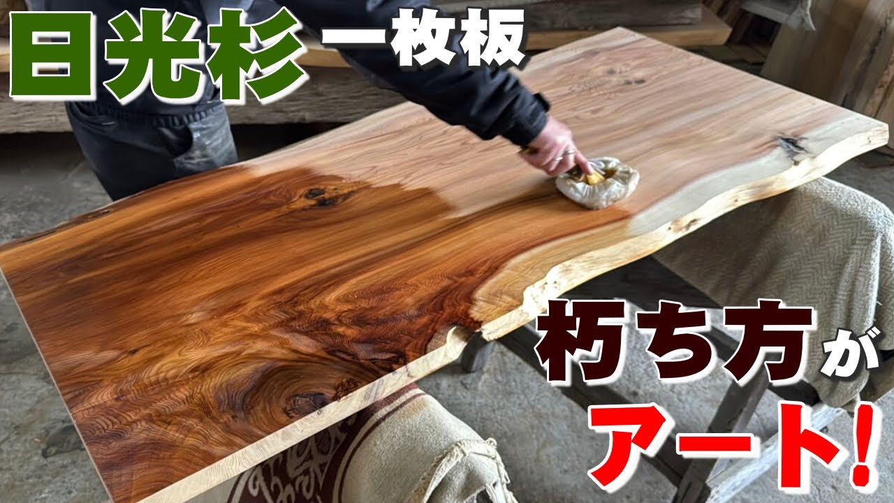 The Nikko cedar has decayed incredibly badly! We were astonished