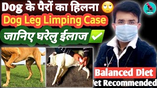 Leg Limping In Dogs/Cats || पैरों को उठा कर चलना  ? || Dog Leg Weakness || Rickets in dogs #limping