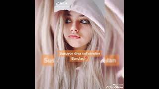 Burç Tiktok Videosu