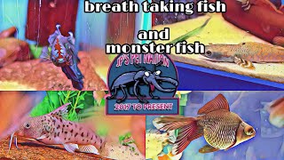 Wharf Aquatics tour
