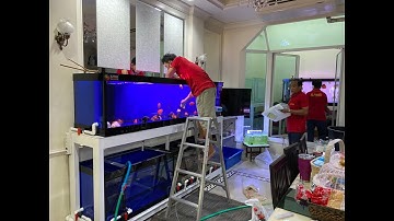 Por พี่ปอ แฉล้ม III - สลับที่ตู้ปลา สลับที่ปลา ทำ O4FS ใหม่ (ปลาทอง + ปลาปอม) Set 2