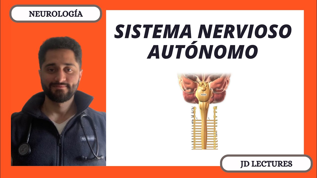 SISTEMA NERVIOSO AUTÓNOMO | GENERALIDADES | NEUROLOGÍA