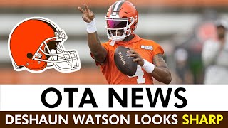 Browns OTA News: Deshaun Watson Highlights + THIS Wide Receiver Is Impressing!