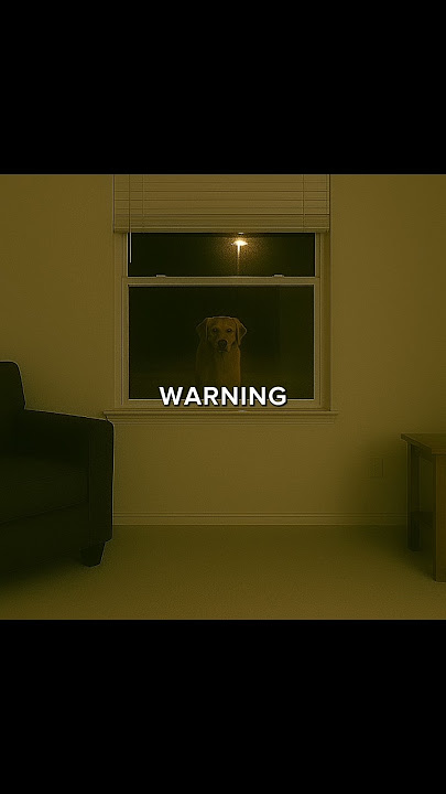 Jika Anda Mendengar Anjing Anda Menggonggong di Luar, Jangan Buka Pintunya... | #menakutkan #ruangbelakang #creepypasta