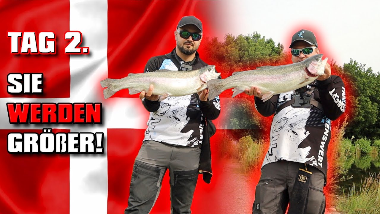 Forellenangeln in Dänemark | Tag 2 | Arrild Fiskesø