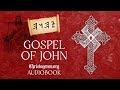 The gospel of john  cnt  full audiobook