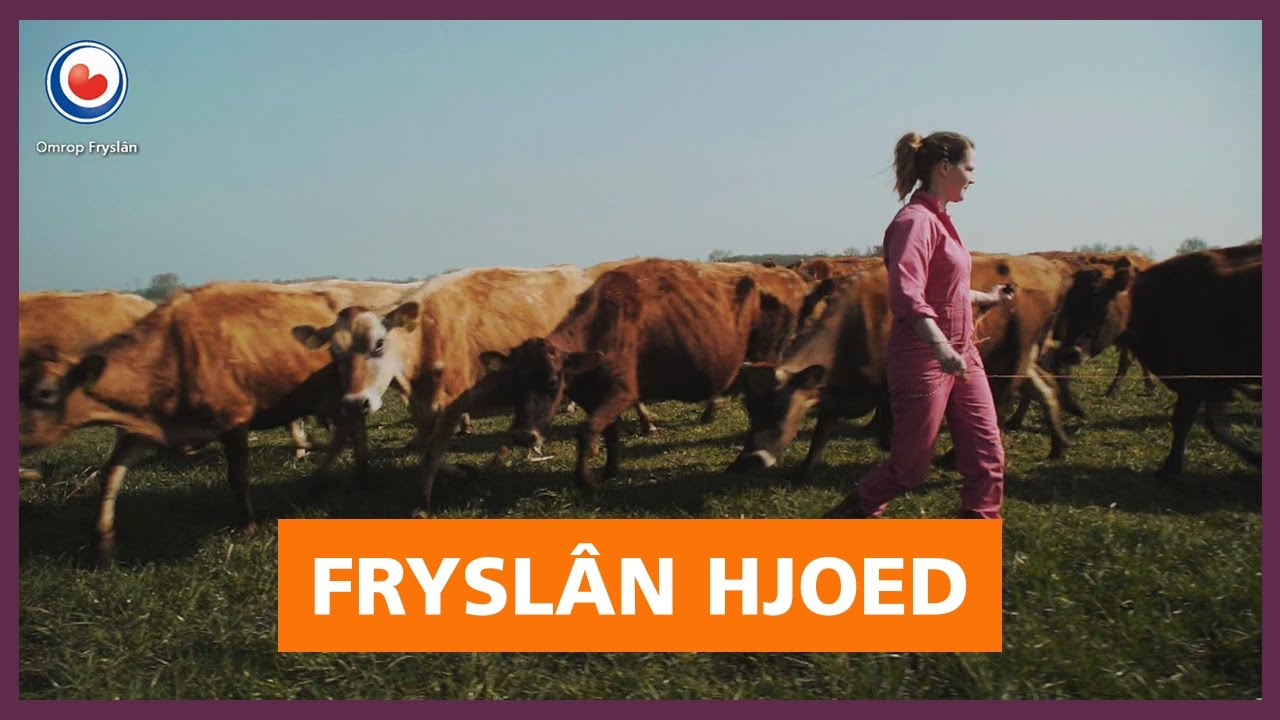 Fryslân Hjoed YouTube