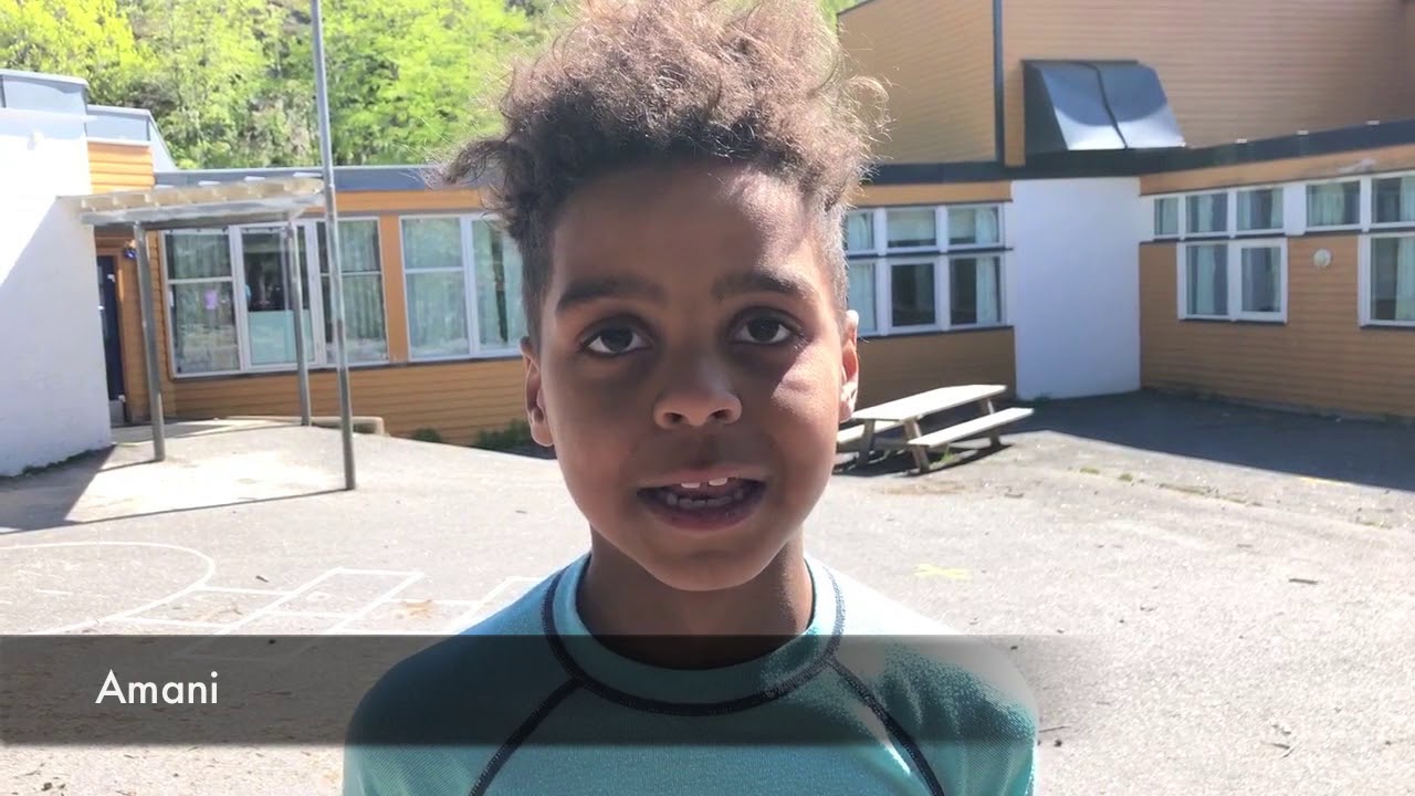 Ormestad skole 17  mai