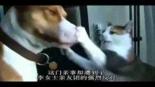 国内最火视频！某S爆笑解说;禽兽！放开那女狗！