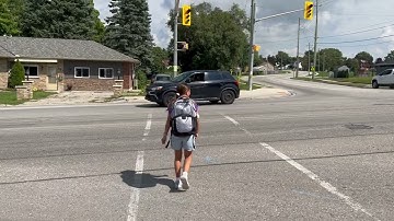 Traffic Light Crossing Tutorial