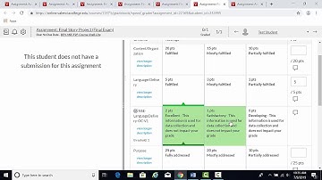 Final Story Project Rubric Video