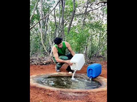 esse pocinho foi a salvação de muitos animais #sertão #calor #agua #vida