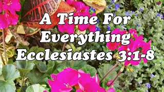 A Time For Everything 💕 | God's Timing and Sovereignty In All Things | Ecclesiastes 3:1-8 #scripture