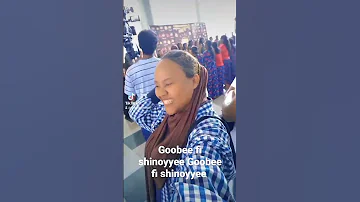 Goobee Fi Shinoyyee Goobee Fi Shinoyyee 