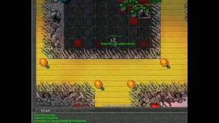 Tibia OT Arena