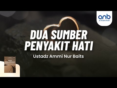 Video: Kami Bertanya, Anda Menjawab: Nasihat Apa yang Akan Anda Tawarkan pada Seseorang yang Mengadopsi Kucing Senior?