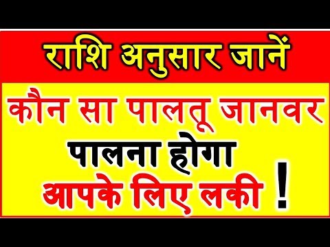 वीडियो: कुत्ते कैसे पदानुक्रम स्थापित करते हैं