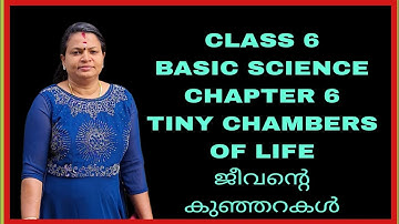 CLASS 6 BASIC SCIENCE CHAPTER 6 TINY CHAMBERS OF LIFE ( ജീവന്റെ കുഞ്ഞറകൾ) 