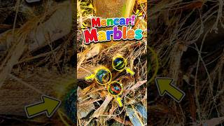 🌈🪀Rare Marble Found Under the Palm Tree!