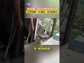選舉影響