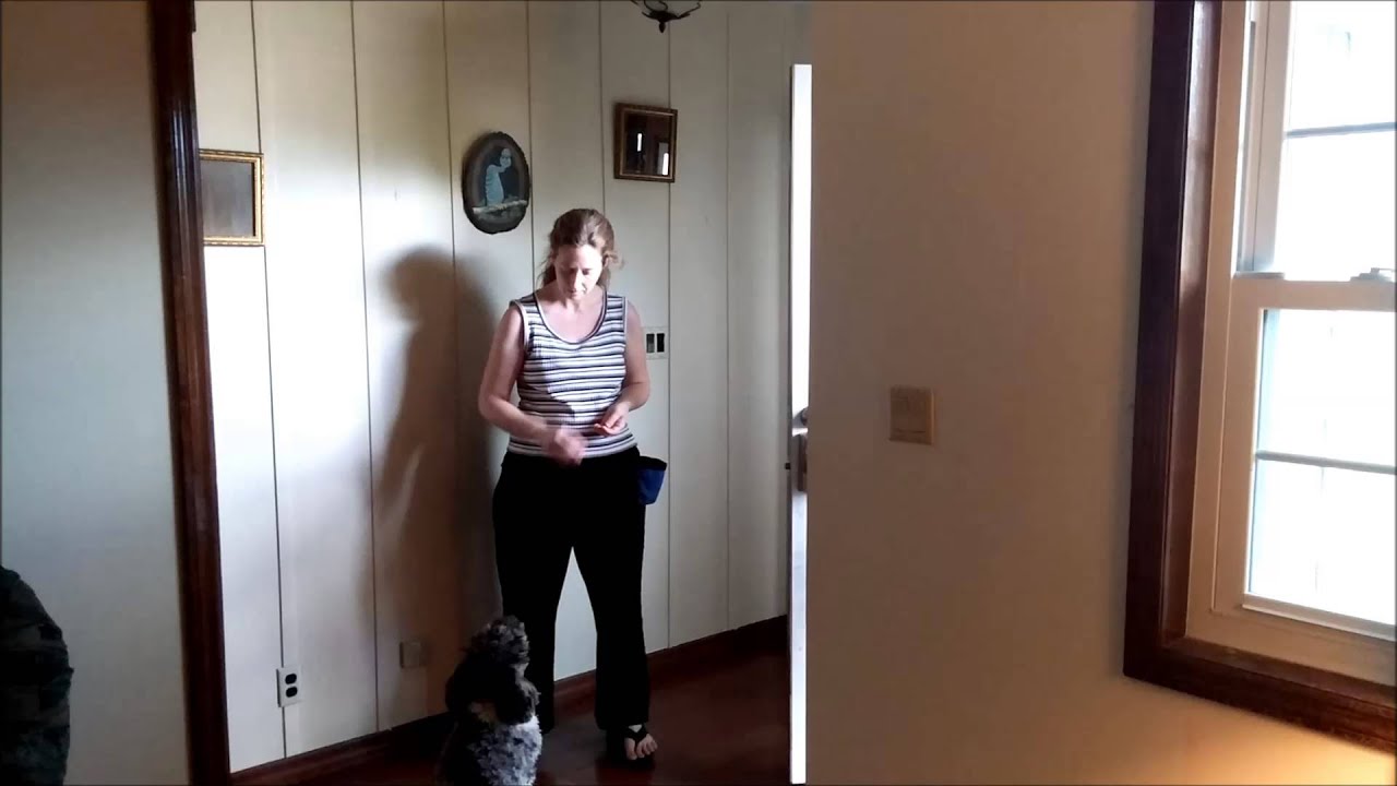 Awesome Blossom YouTube