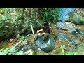 Primitive fishing, Fishing with tree roots : Survival Alone In The Rainforest | EP.104