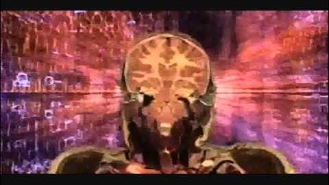 Terence McKenna - The Psychedelic Jumpstart into the Singularity