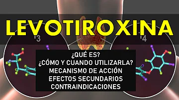 ¿Cuáles son los efectos secundarios de tomar levotiroxina a largo plazo?