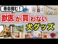 【知らないと危険】人気だけどオススメできない犬用品!実は命に関わる犬グッズを獣医師が解説します