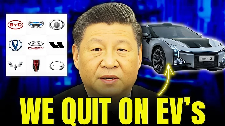 What Caused the Downfall of Chinese EV Makers! - DayDayNews
