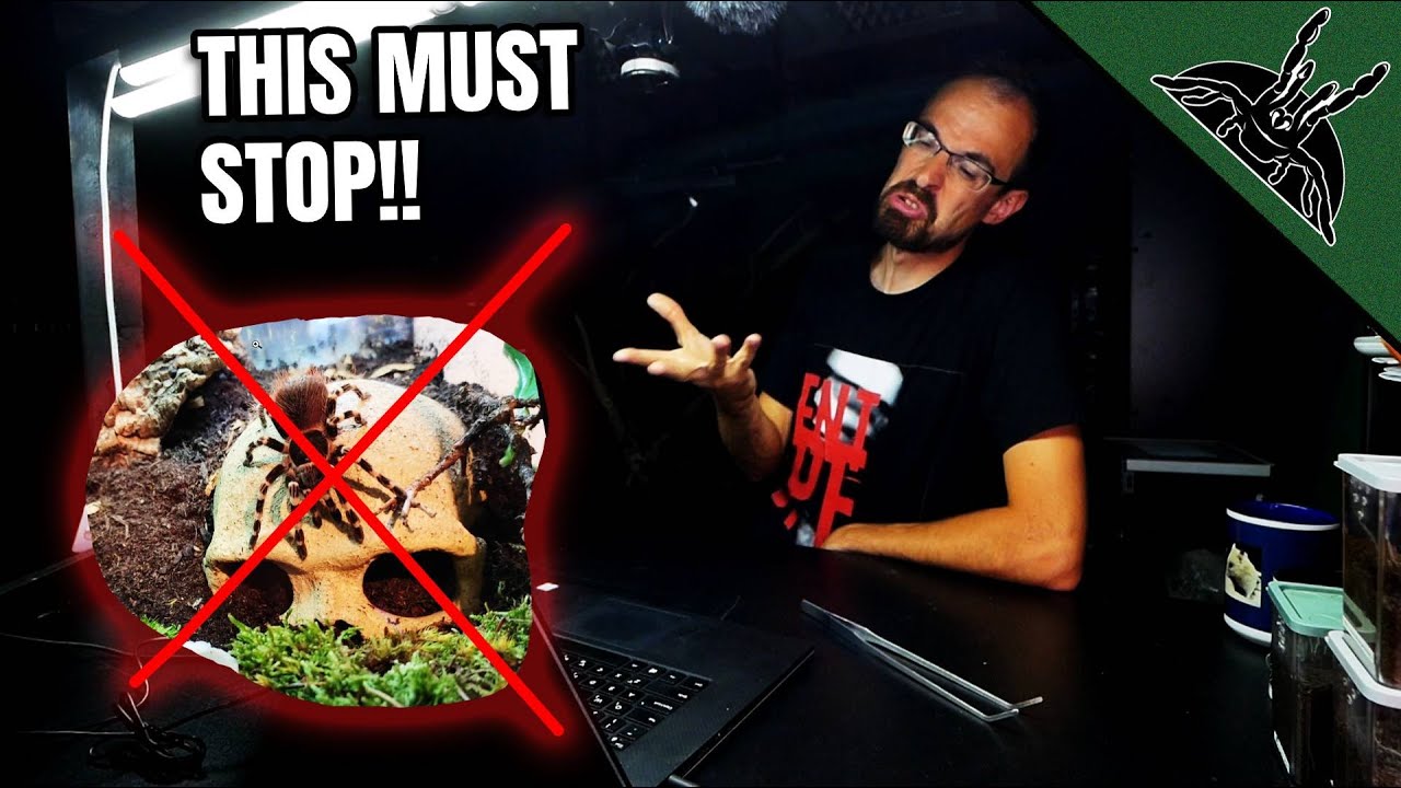 Рейтинг отправлен ПРИЛОЖЕНИЯ!