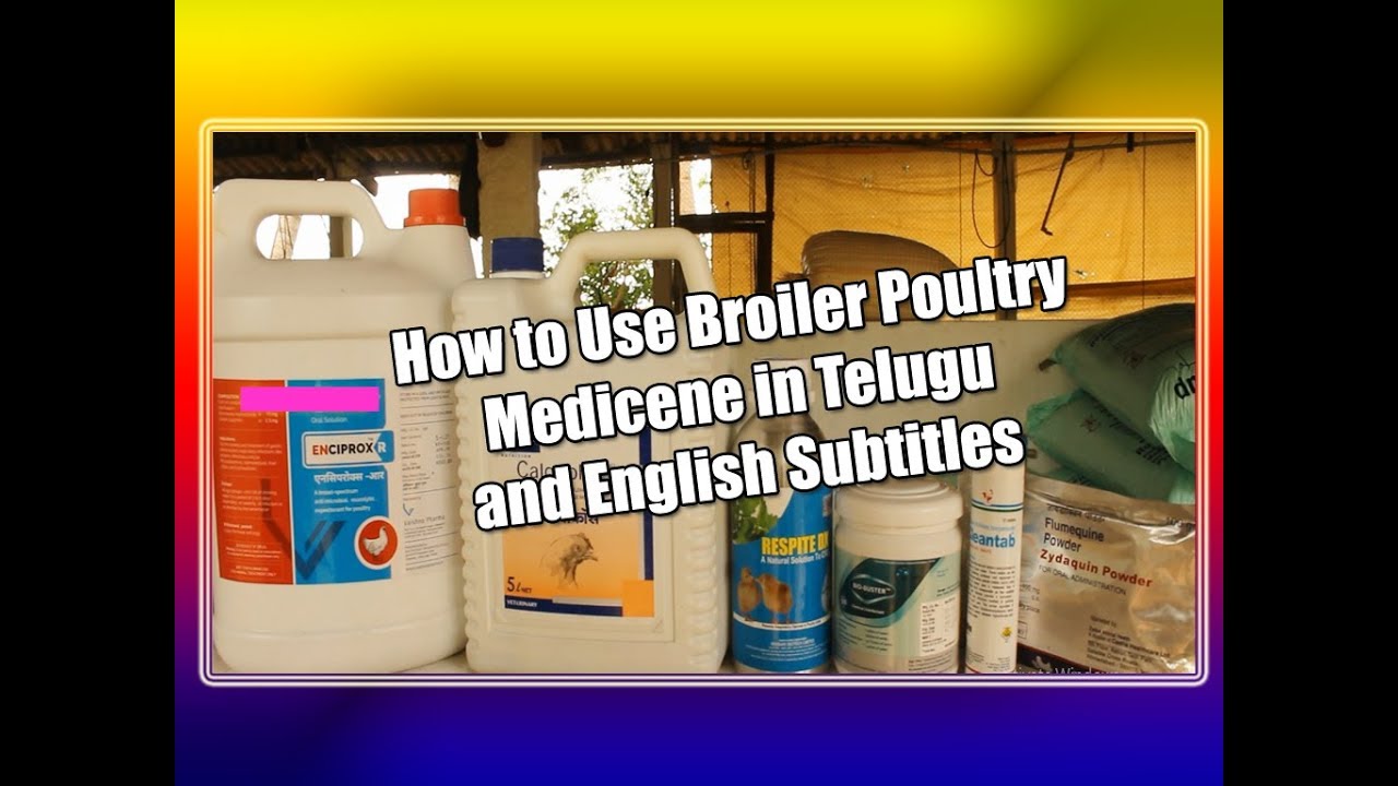how to use broiler poultry medicine in Telugu and English subtitles