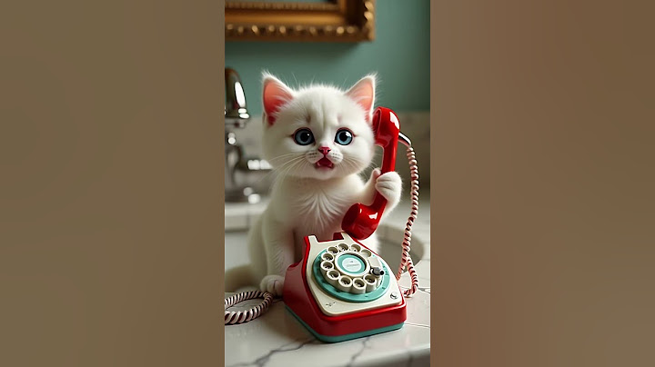 🇺🇸Hello Kon ☎️ ??  🇺🇸 please like subscribe #shorts #funnycat #youtubeshorts #youtube 💯