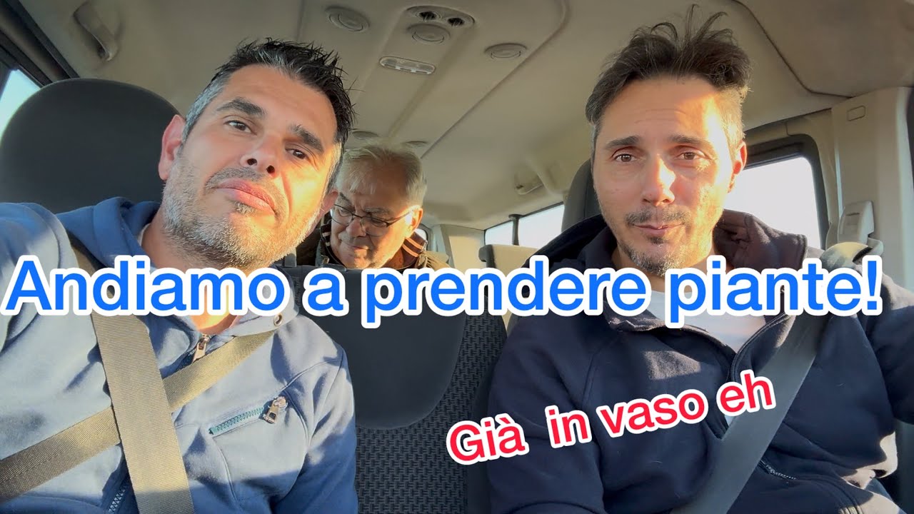 Scegliamo piante adatte per fare bonsai