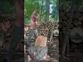 Splitting cherry 🍒 🪵🪓 #wood #woodsplitting #splittingwood #choppingwood #fypシ