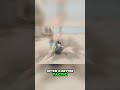 Adrenaline vs Joint Locks: Beach Fight Breakdown!