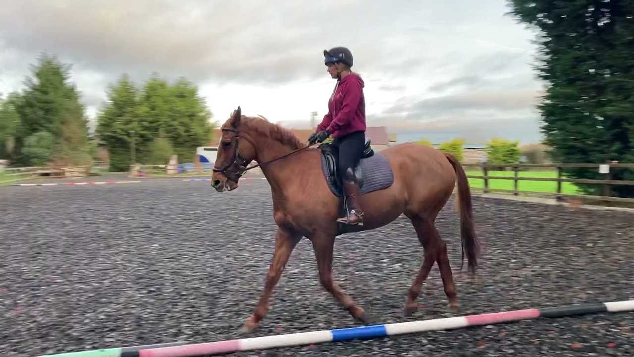 Laura Bennett & Lematan Sunshine Sadie, Malvern Hills Riding Club, Novice 3C, November 2021