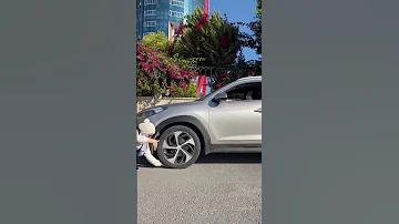 طلعت السيارة فوق ايدي ام سيف ونانو Shorts 