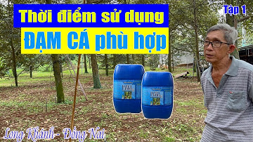 CÁC GIAI ĐOẠN SỬ DỤNG ĐẠM CÁ PHÙ HỢP - TẬP 1