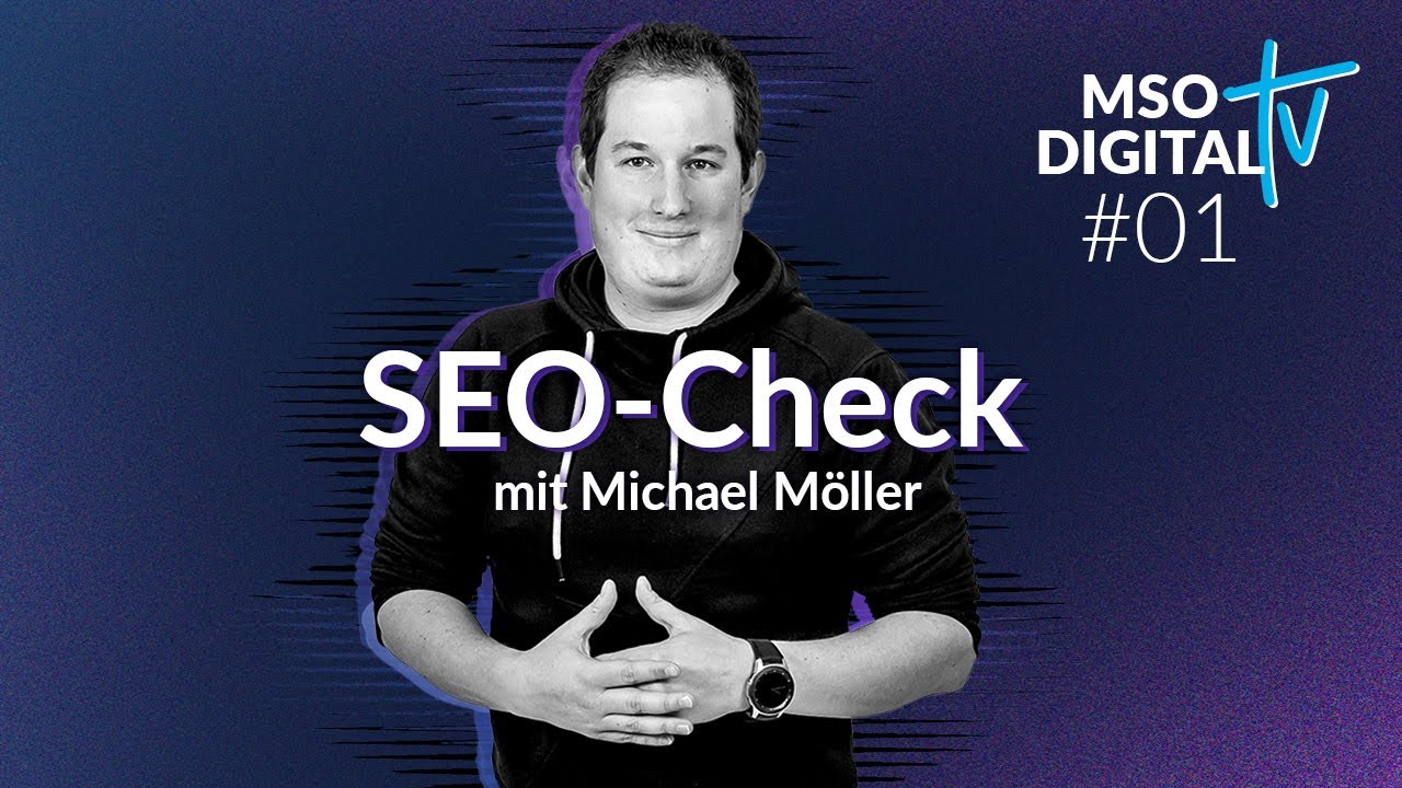 SEO Check Online Shop gabione-steinkorb.de - MSO Digital TV