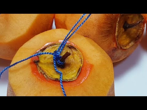 خطوات عمل الكاكي المجفف او ايتشيدا "dried persimmons"