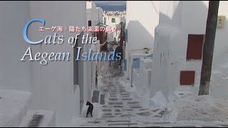 『エーゲ海・猫たち楽園の島々』トレーラー・OP ver.